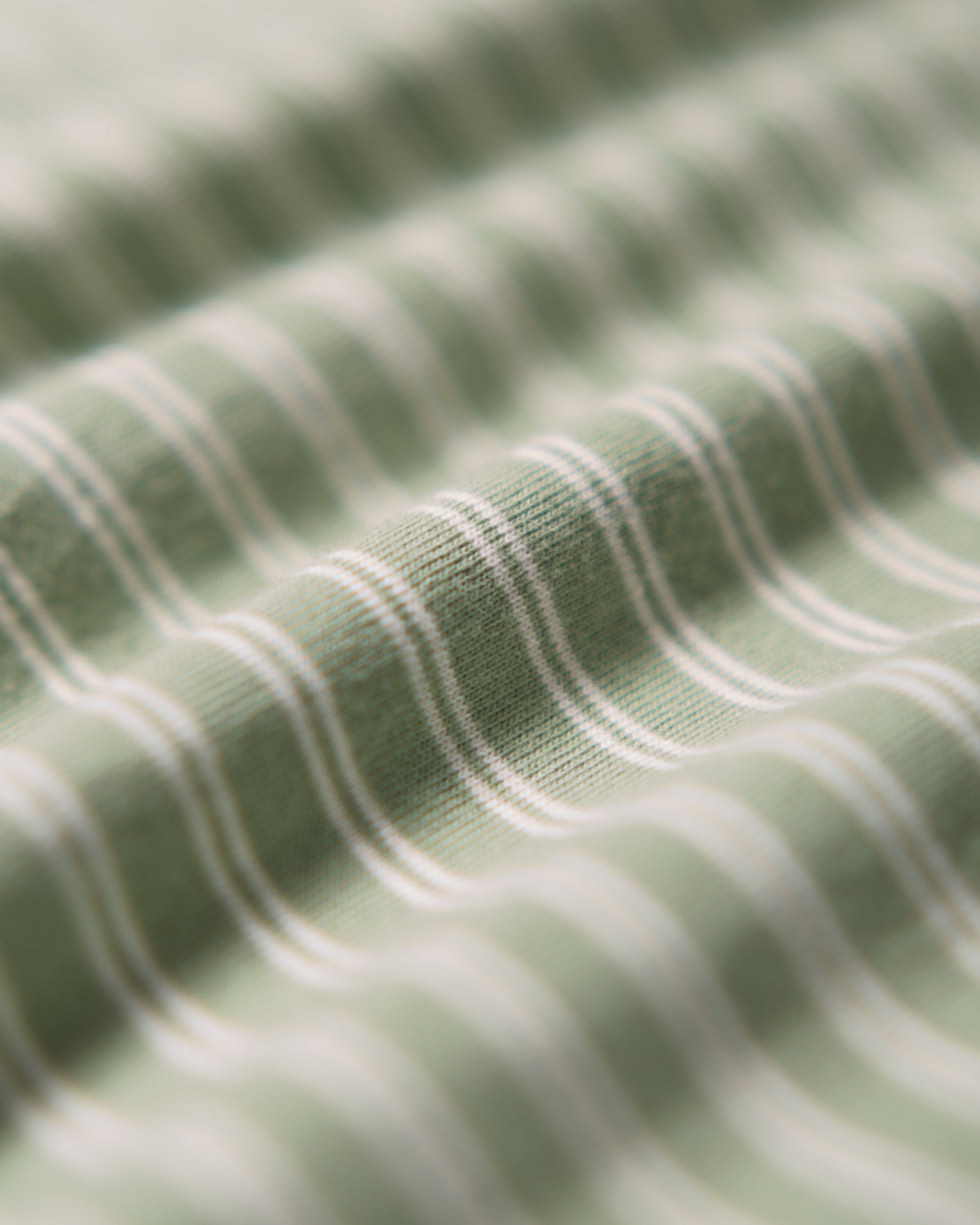 Classic Border Jersey Crewneck L/S - F.Green x Natural