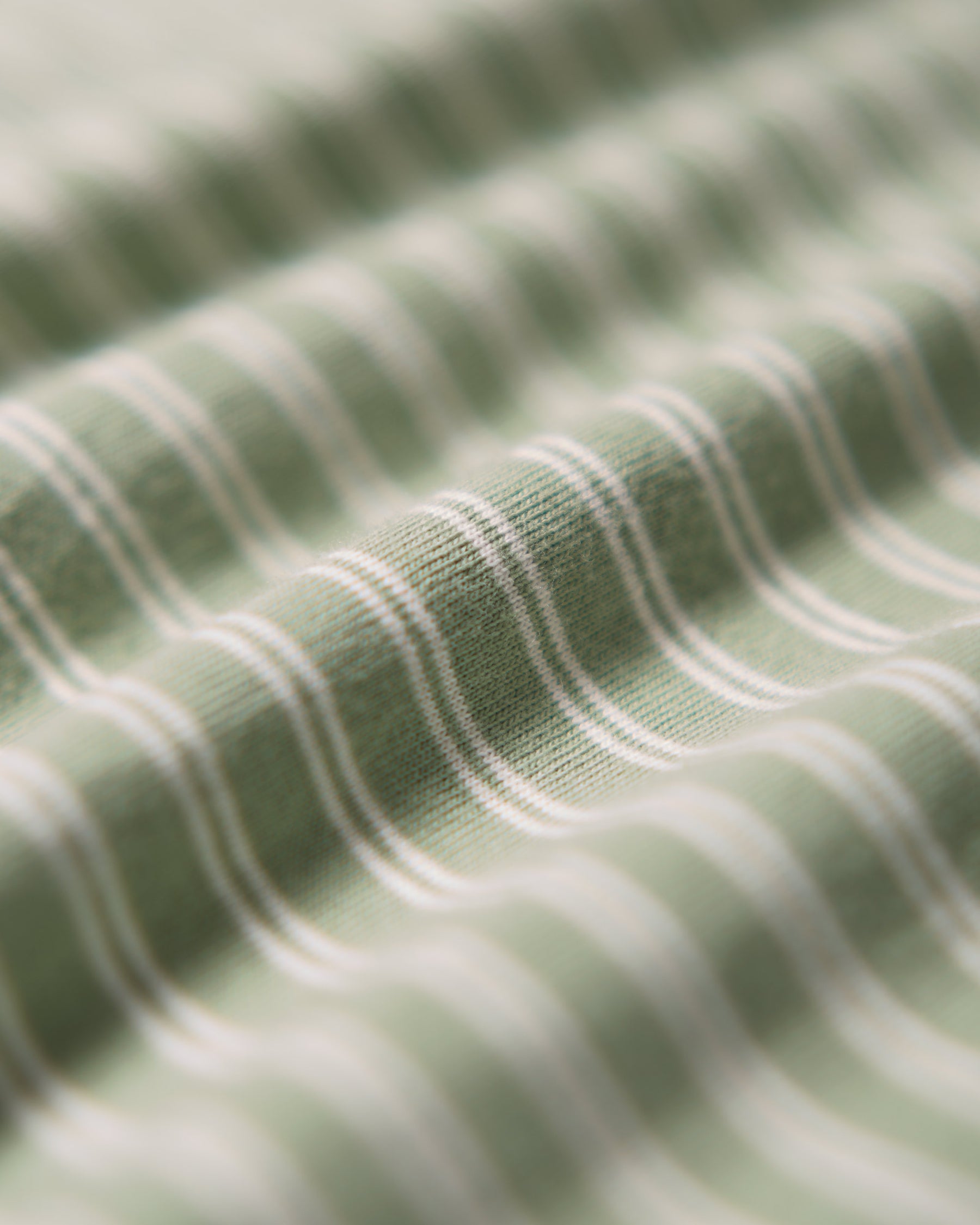 Classic Border Jersey Crewneck S/S - F.Green x Natural