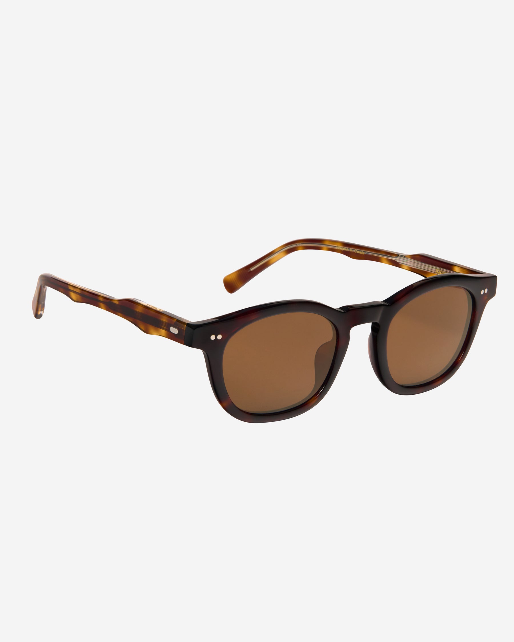 Alves II Sunglasses - Tortoise